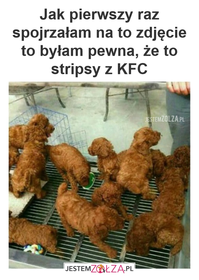 Kurczaczki?