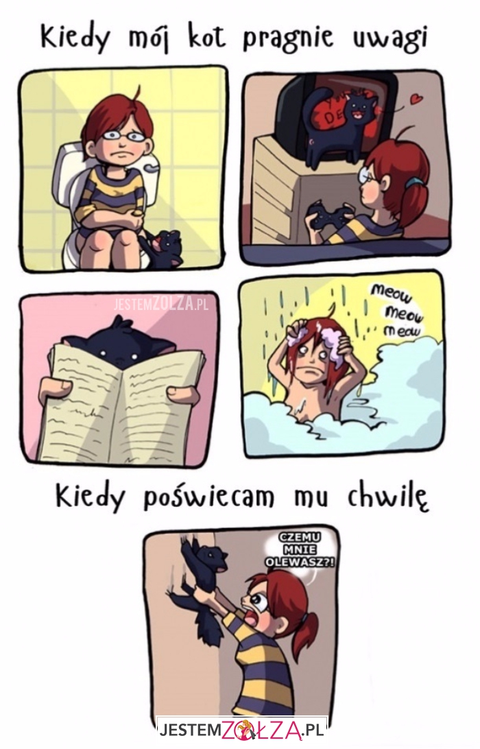Mój kot