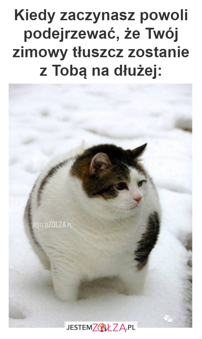 Tłuszczyk