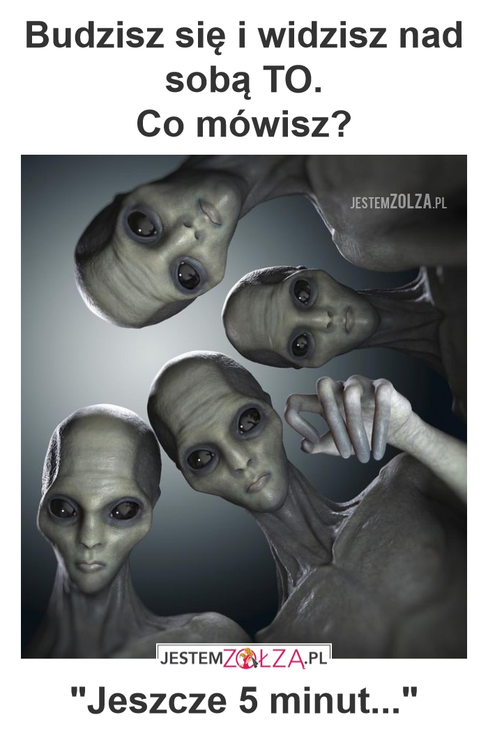 Pobudka