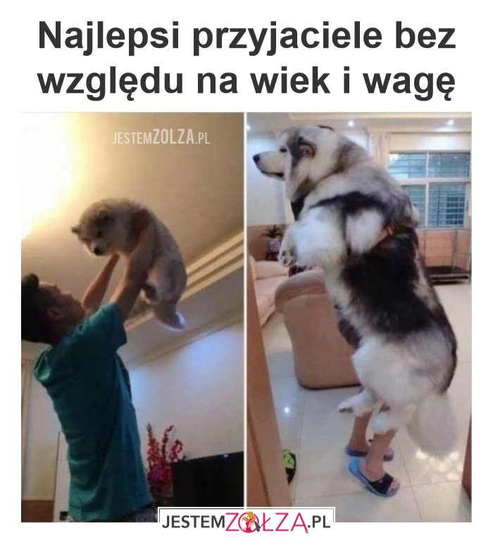 Przyjaciele
