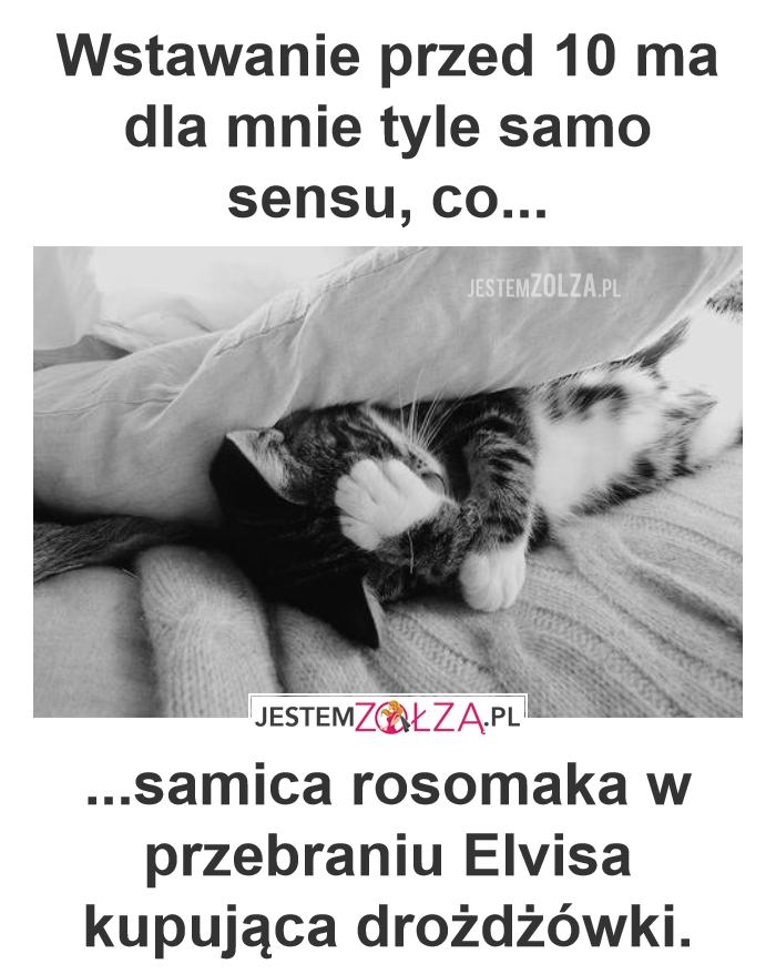 Poranek