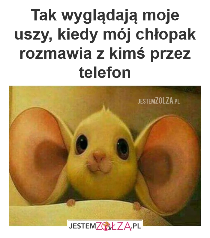Uszy