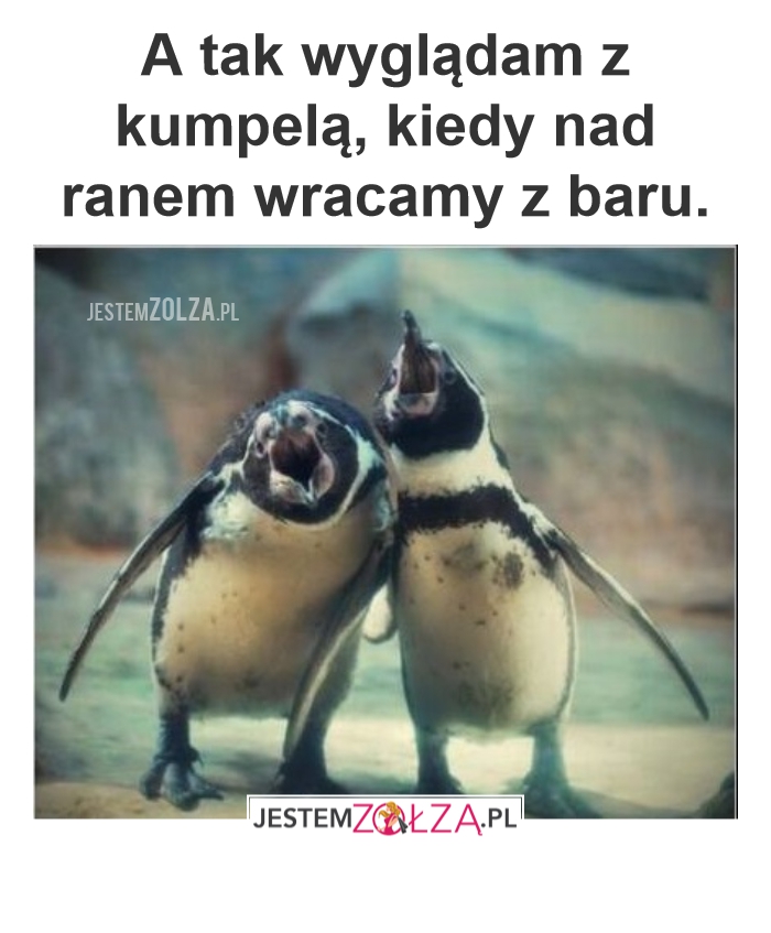 Powroty
