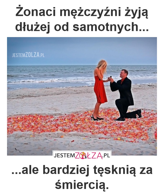 Długowieczność