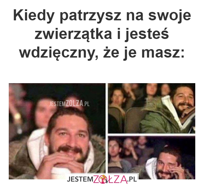 Kiedy patrzysz 