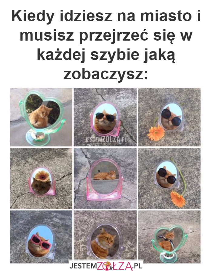 Kiedy idziesz na miasto