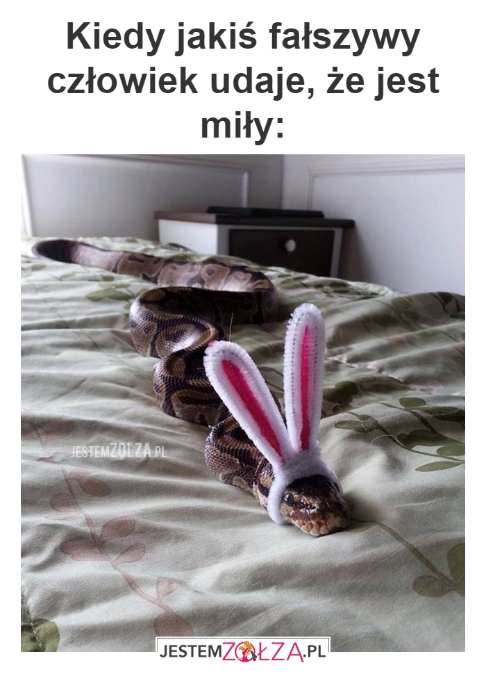 Kiedy jakiś fałszywy