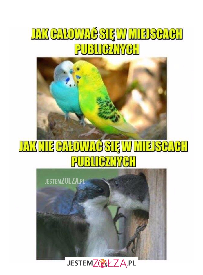 jak całować się