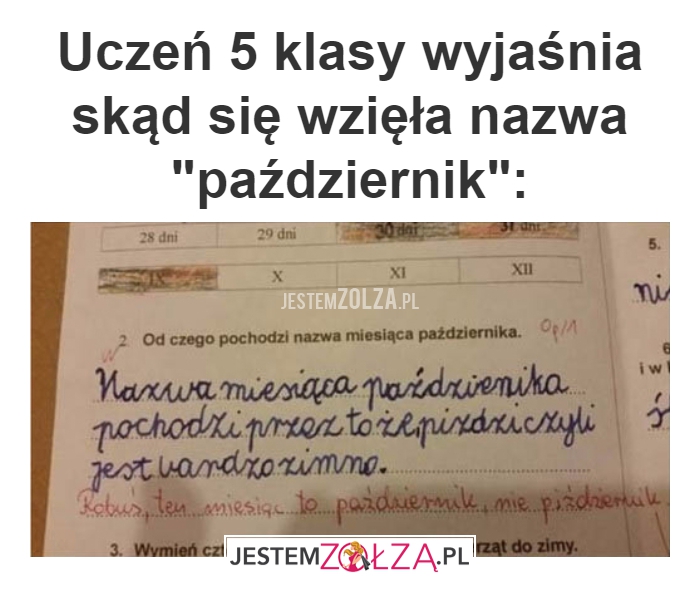 Uczeń 5 klasy 