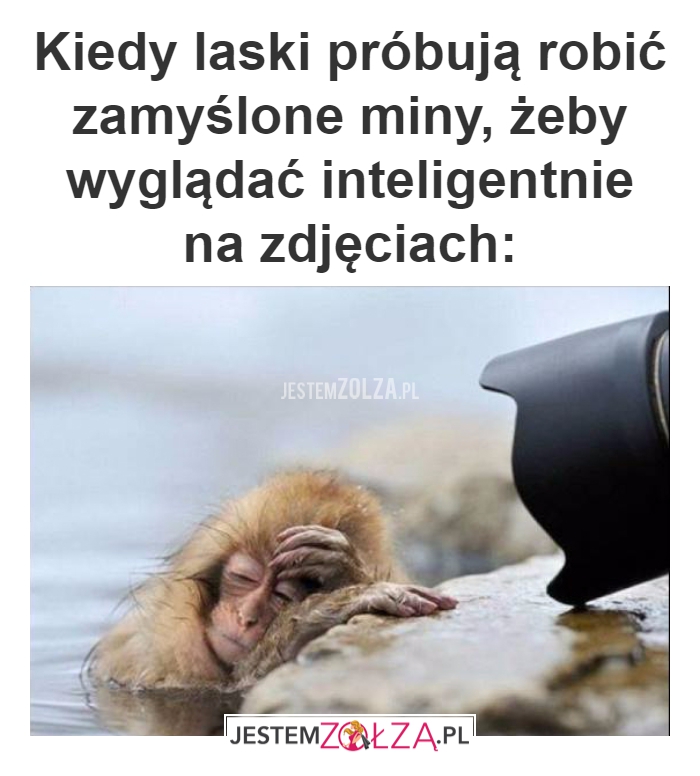 Kiedy laski próbują