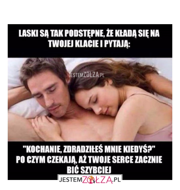 laski są tak