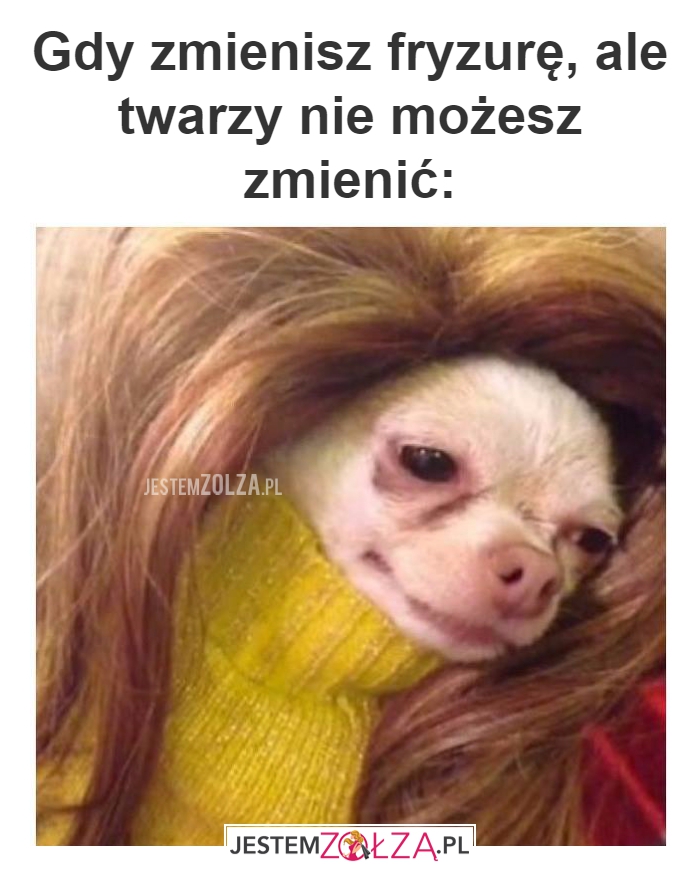 Gdy zmienisz fryzurę
