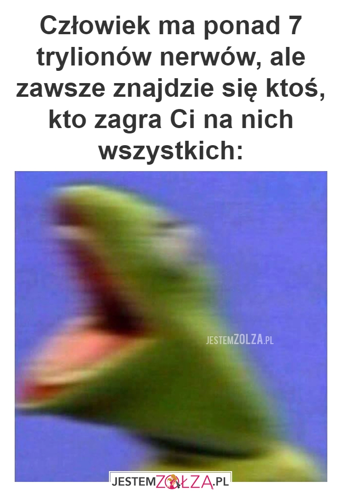 Człowiek ma ponad 7 trylionów 