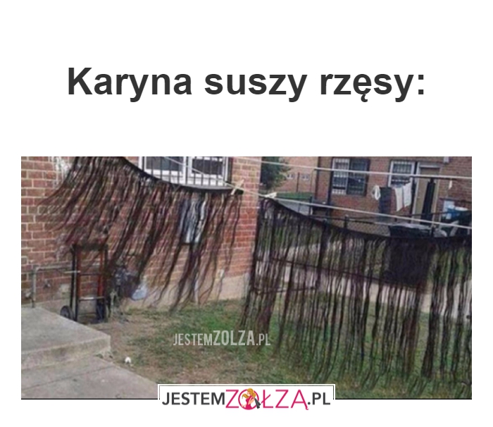 Karyna suszy rzęsy