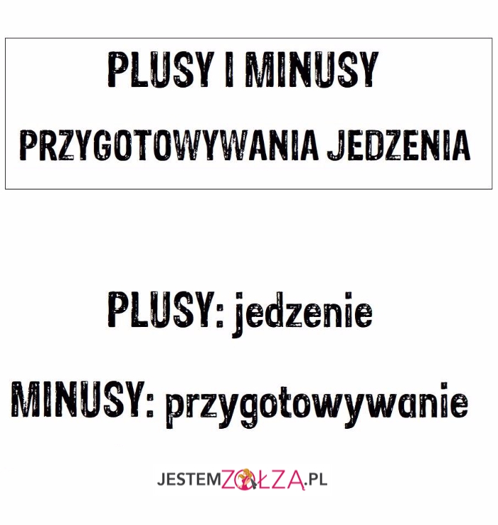 Plusy i minusy