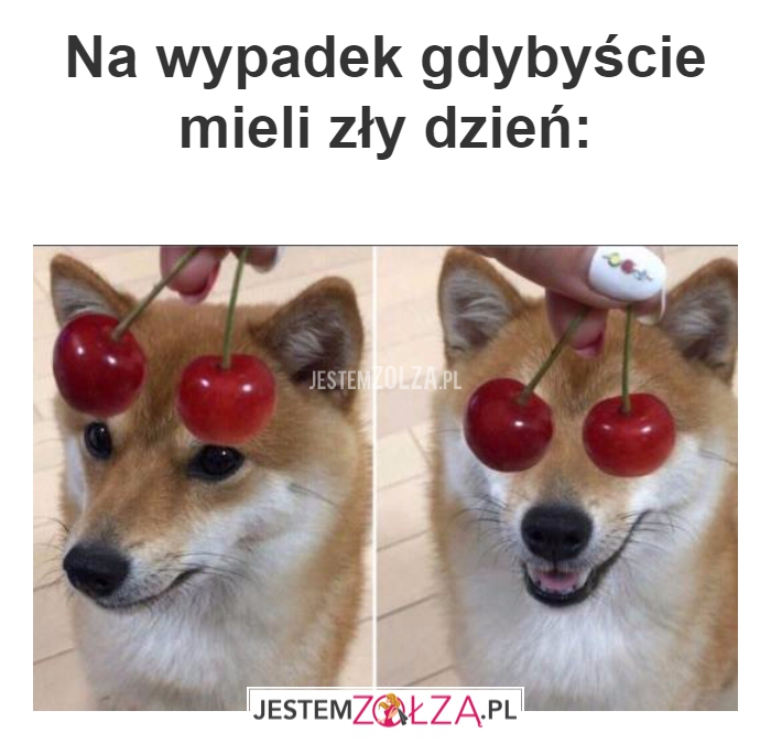 Na wypadek