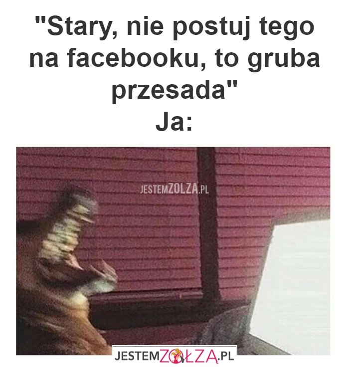 Stary, nie postuj