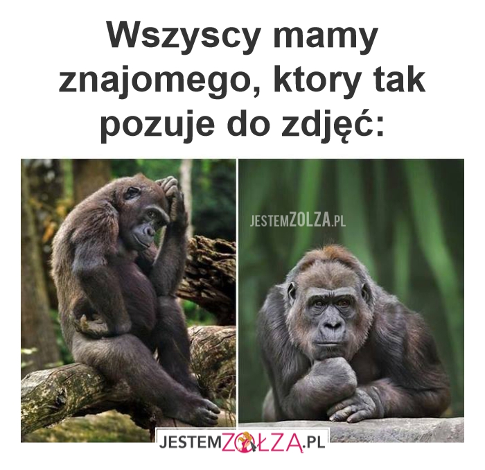 Wszyscy mamy