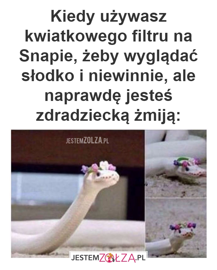Kiedy używasz kwiatkowego 