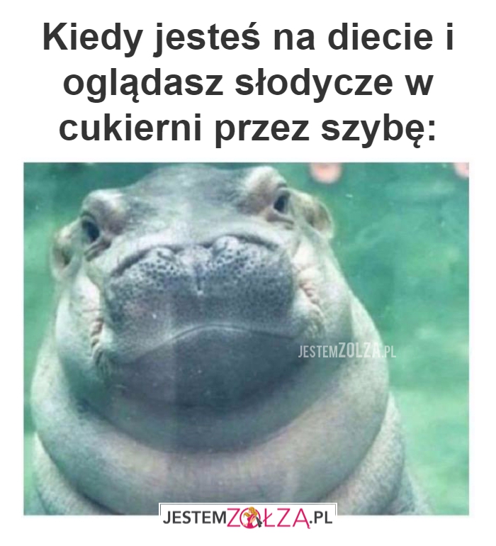 Kiedy jesteś na