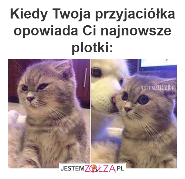 Kiedy Twoja przyjaciółka