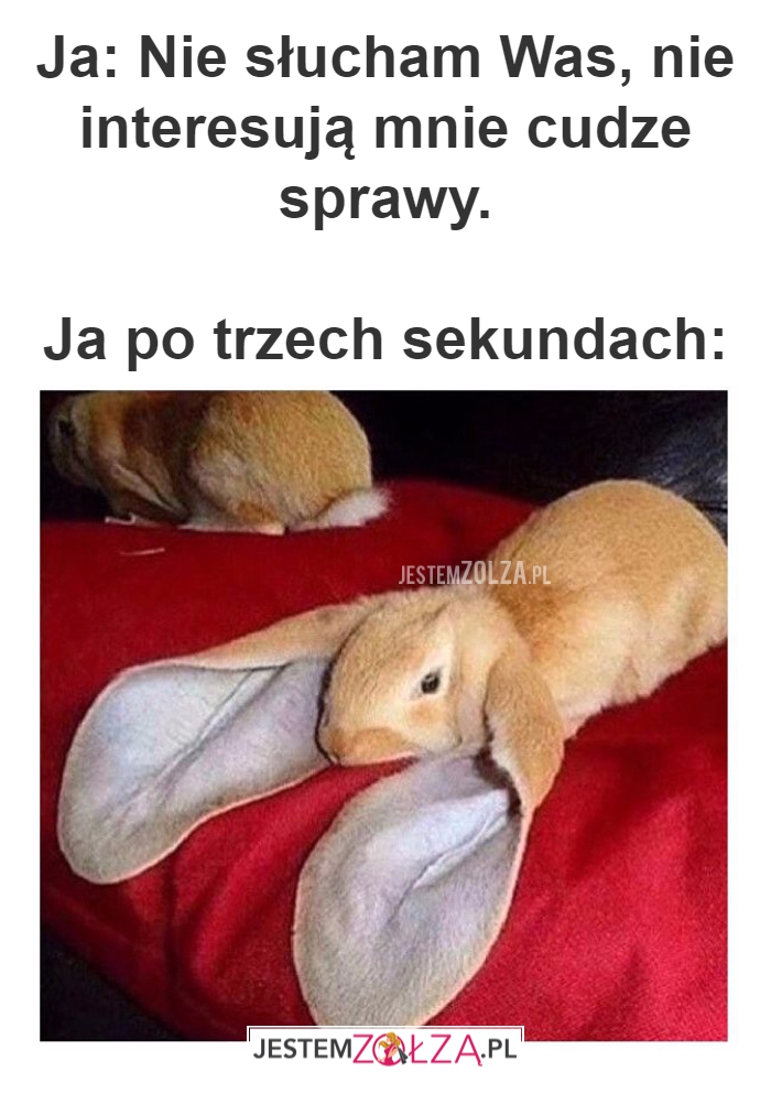 Ja: Nie słucham Was