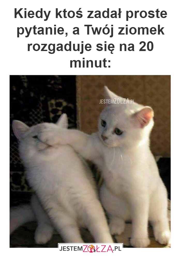Kiedy ktoś zadał