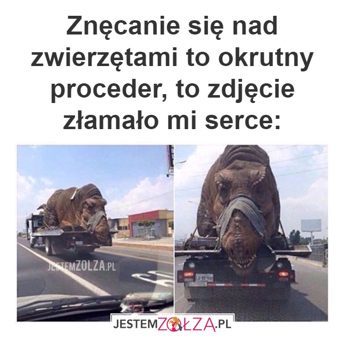 Znęcanie się nad 
