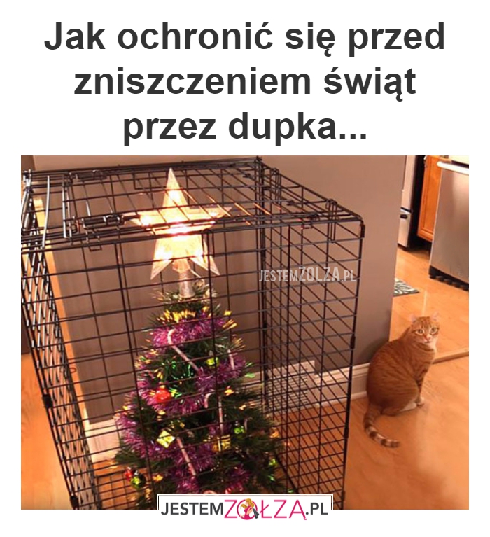 Jak ochronić się 