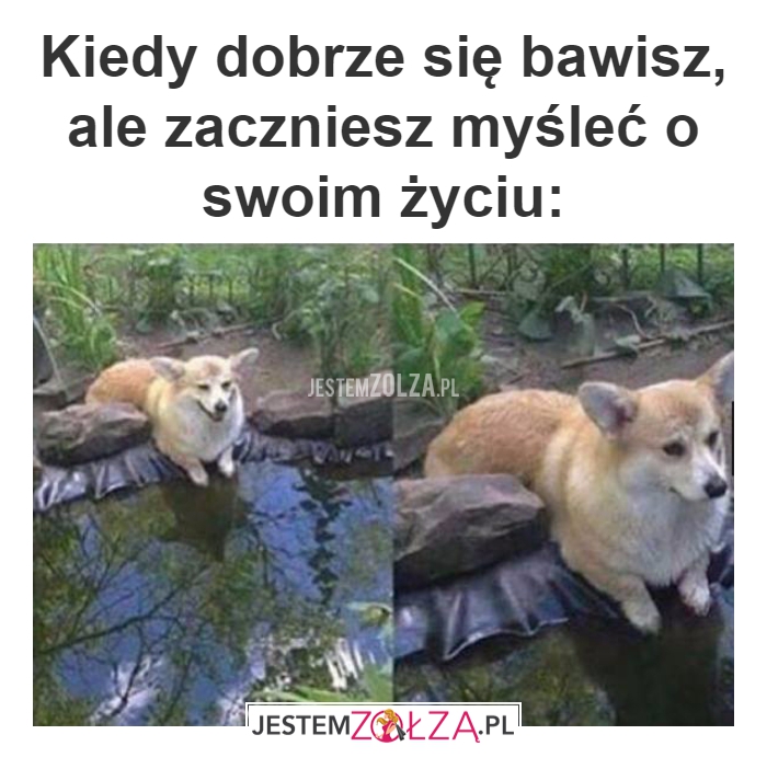 Kiedy dobrze się 
