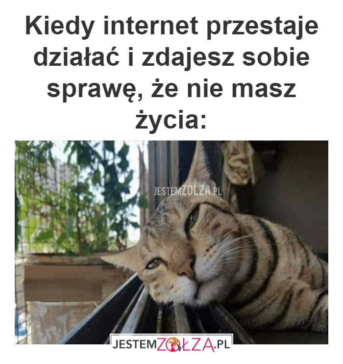 Kiedy internet 