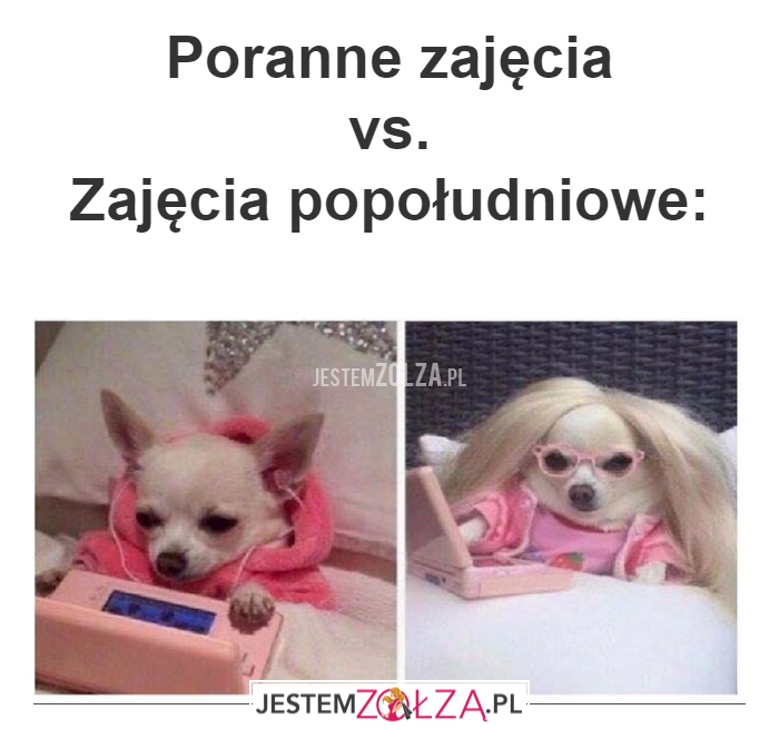 Poranne zajęcia 