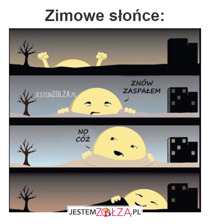 Zimowe słońce