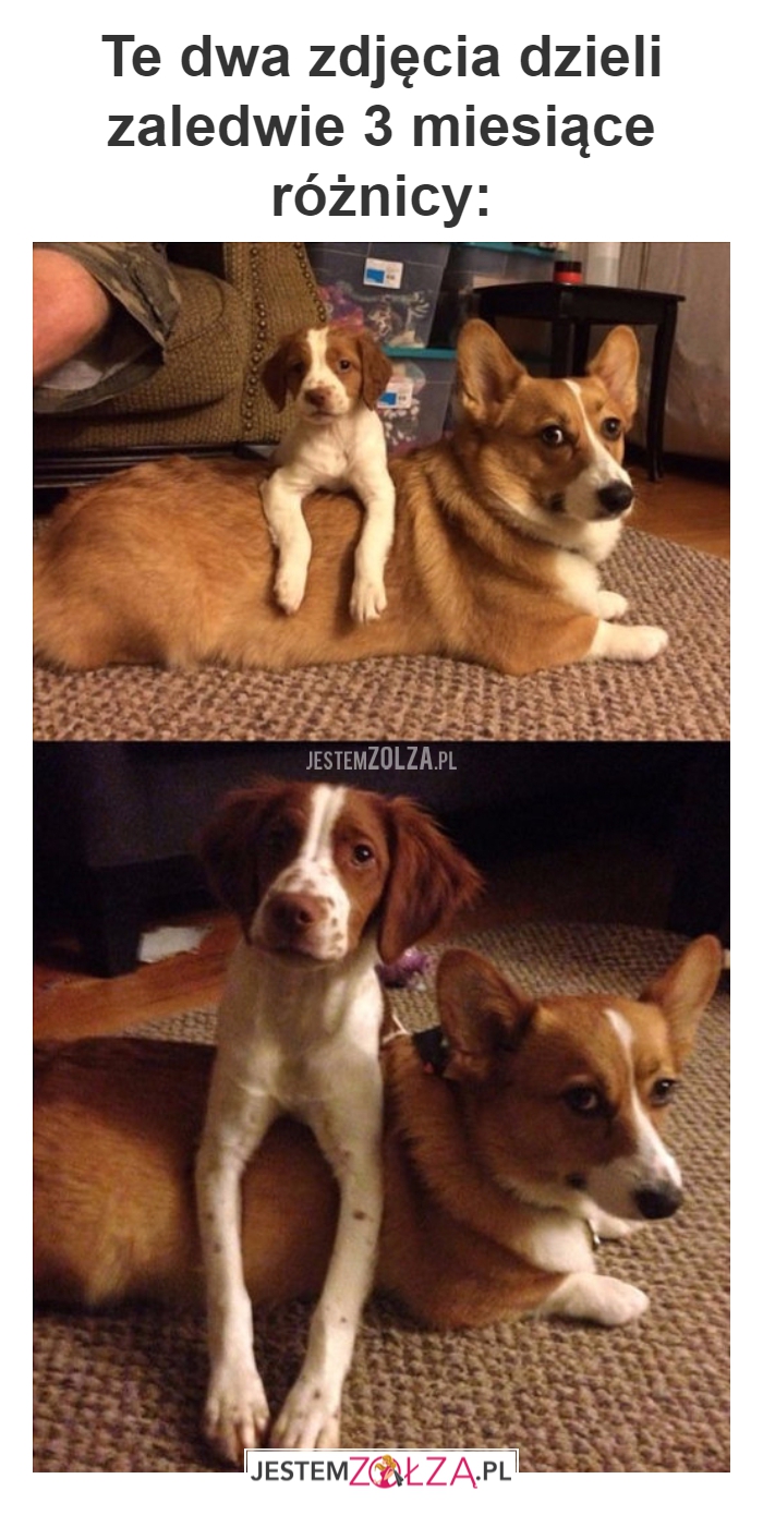 te dwa zdjęcia