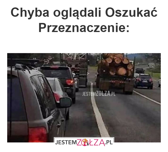 Chyba oglądali