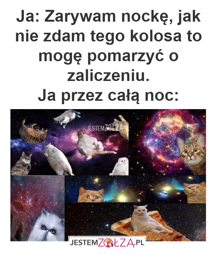 Ja: Zarywam nockę,
