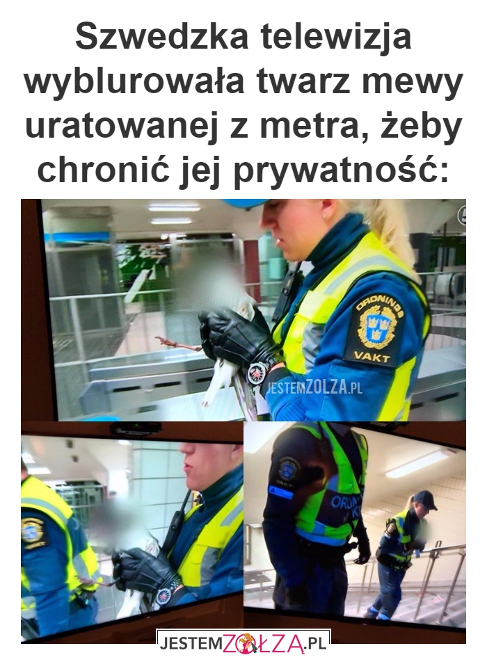 Szwedzka telewizja wyblurowała 
