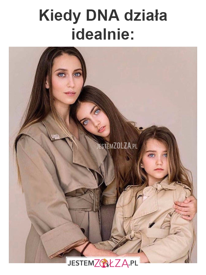 Kiedy DNA 