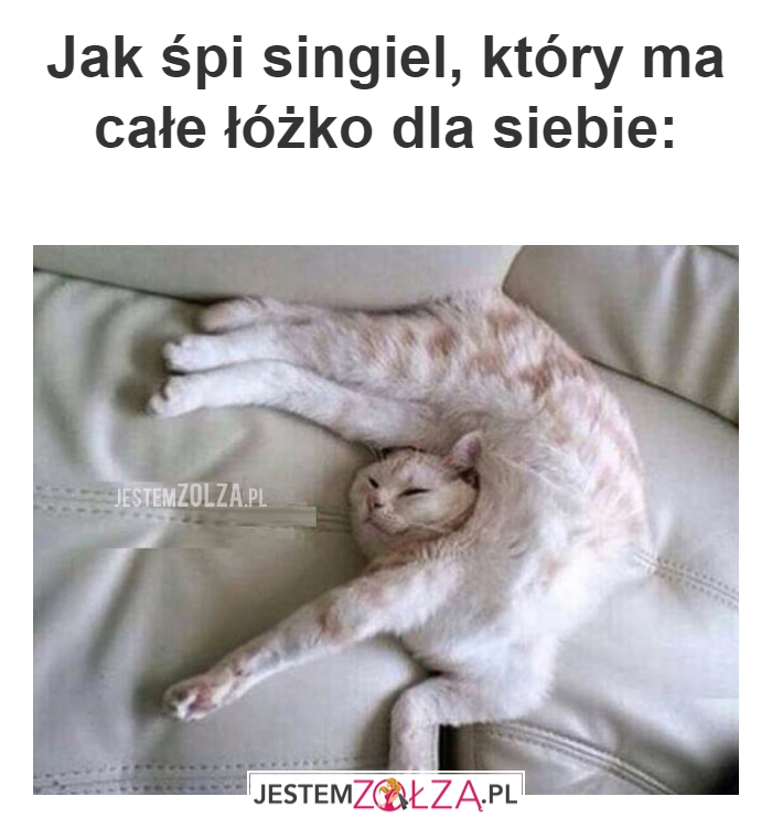 Jak śpi singiel