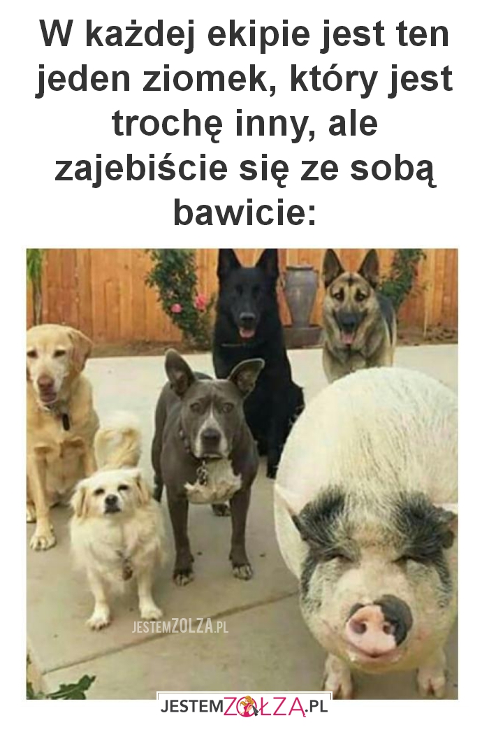 W każdej ekipie 