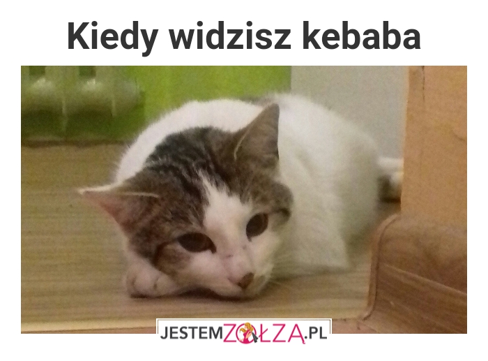 Kiedy widzisz kebsa