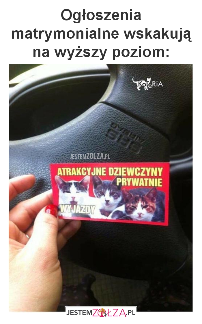 Ogłoszenia matrymonialne