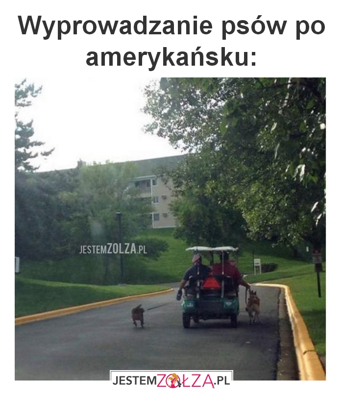 Wyprowadzanie psów
