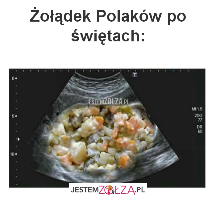 Żołądek Polaków 