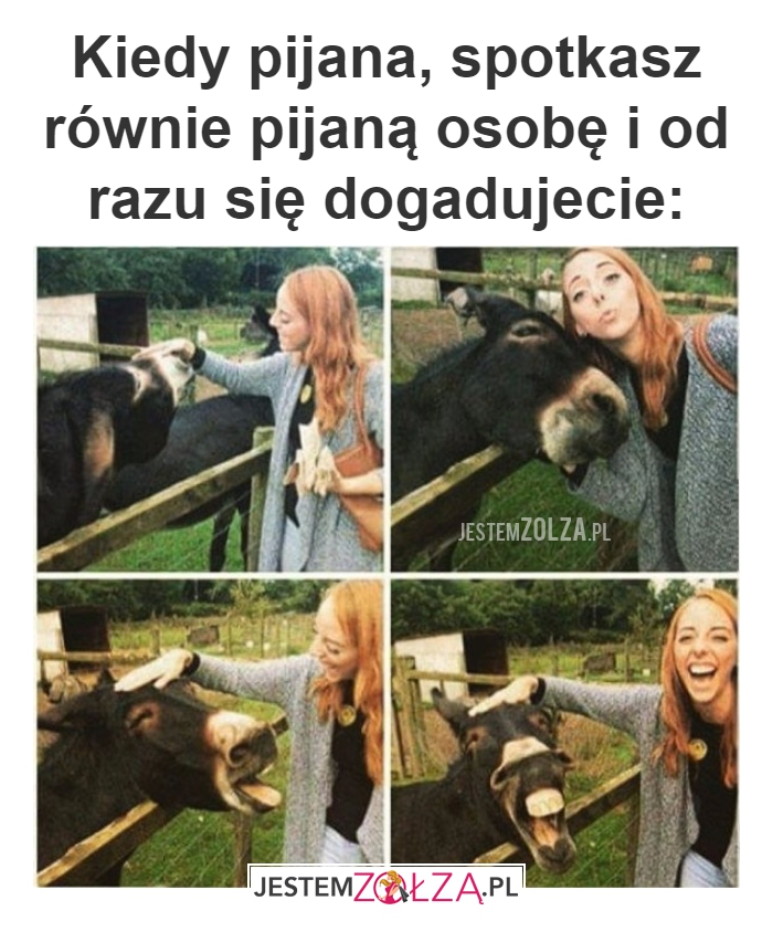 Pijani mają fajnie