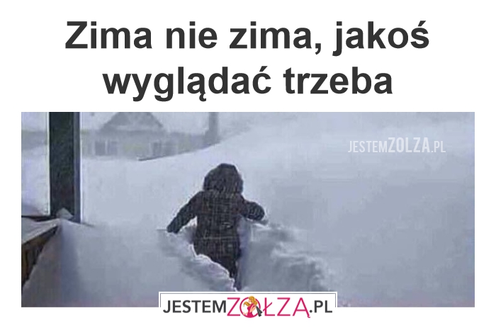 Zima