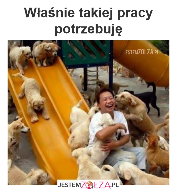 Praca