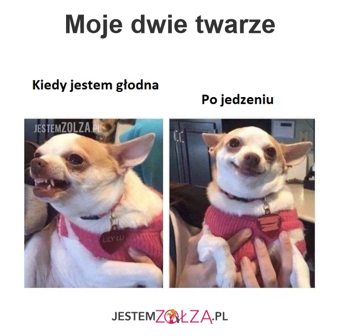Zmienna