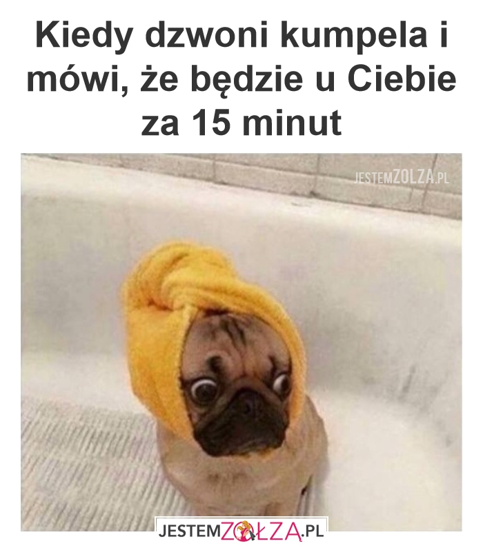 Niezapowiedziany gość